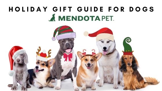 Creating the Perfect Pet Gift Package