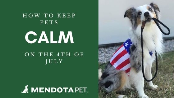 How to Keep Dogs Calm on the 4th of July