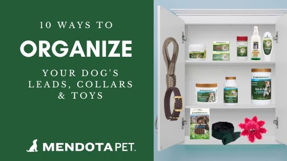 10 Clever Ways to Organize Your Pet Gear