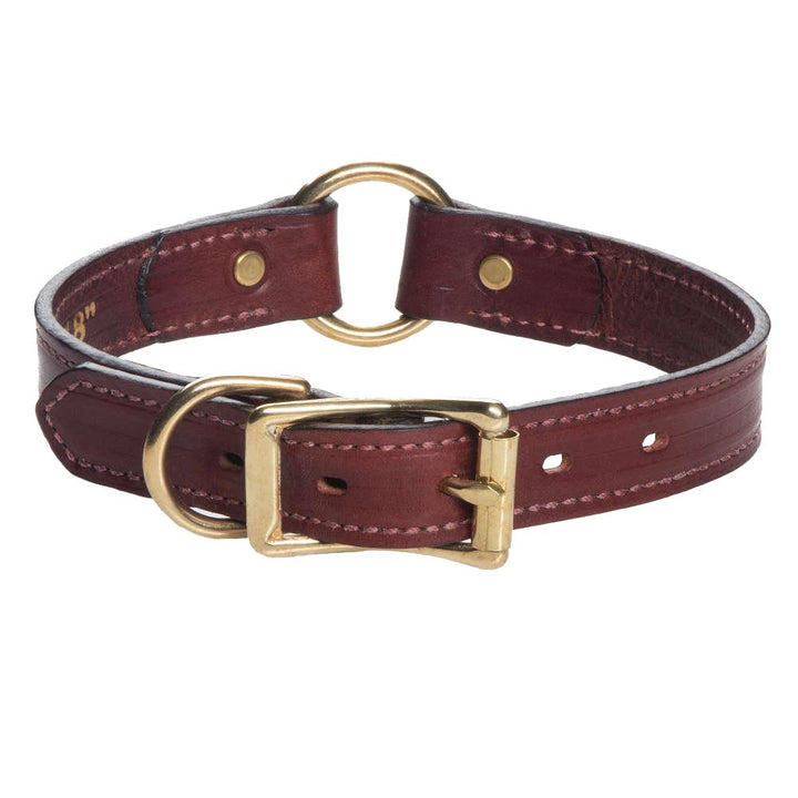Leather Hunt Collar - Chestnut