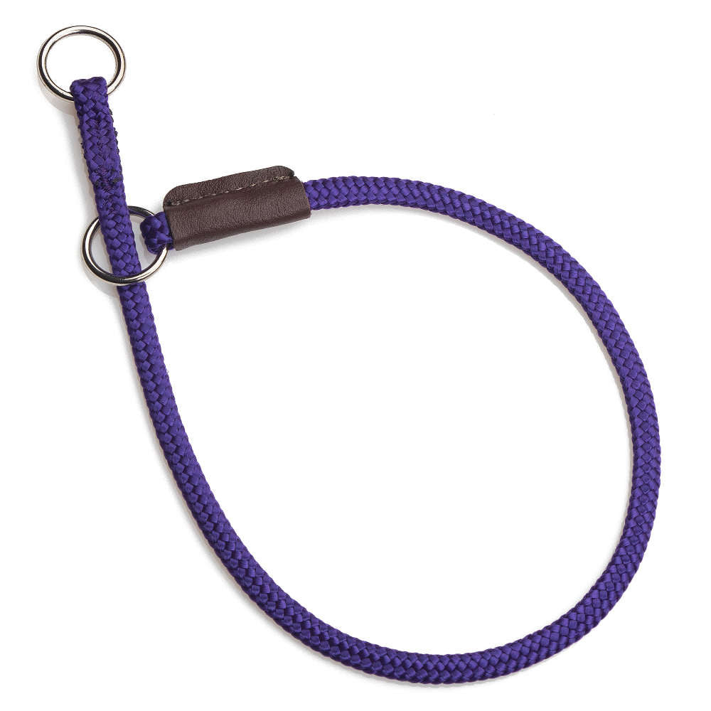 Mendota pet hot sale slip lead