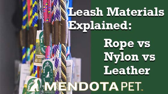 Leash Materials Explained: Rope vs Nylon vs Leather