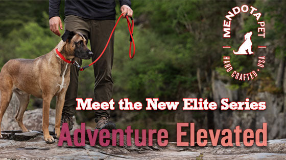 Mendota Pet. Meet the New Elite Series—Adventure Elevated
