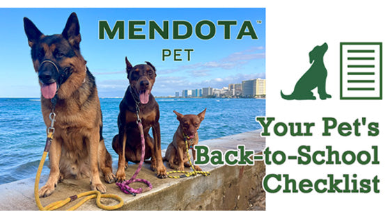 Mendota Pet Blogpost: Your Pet's Back-to-School Checklist