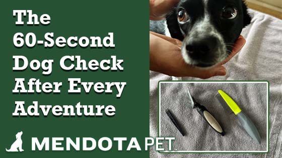 Blog cover image titled "Your 60-Second Dog Check" showing a dog receiving a gentle face inspection beside grooming tools including brushes, a comb, and tweezers. Includes the Mendota Pet™ logo.