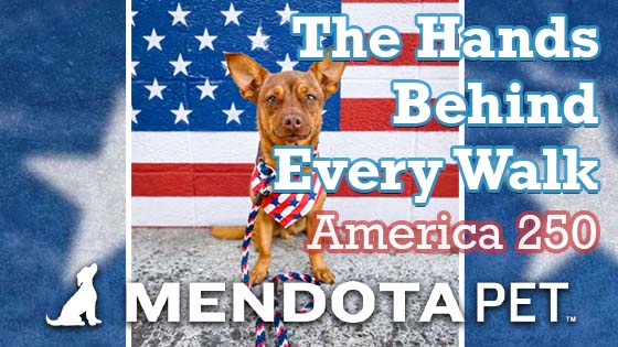 Dog wearing a Mendota Pet Pride slip leash sits before patriotic red, white and blue stars with the blog title "The Hands Behind Every Walk," America 250, and the Mendota Pet logo.