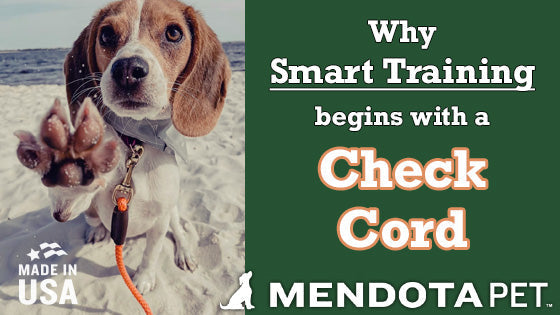 Why Smart Training Starts with a Check Cord