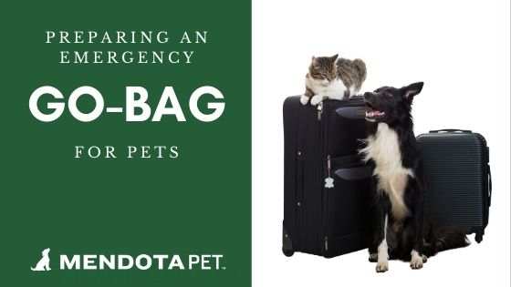Preparing A Go Bag for Pets