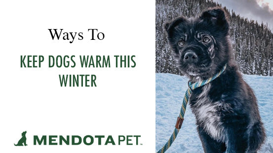 Mendota Pet Blog- Ways To Keep Dogs Warm This Winter