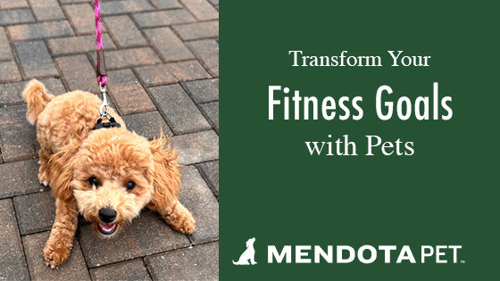 Transform Your Fitness Goals with Pets 🐕