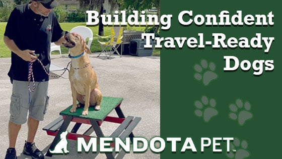 Building Confident Travel-Ready Dogs
