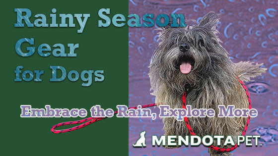 Rainy Season Dog Gear by Mendota Pet – Waterproof, Durable & All-Weather Tough