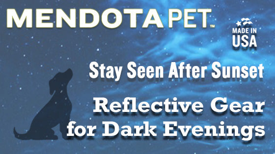 Stay Seen After Sunset: Reflective Gear for Dark Evenings