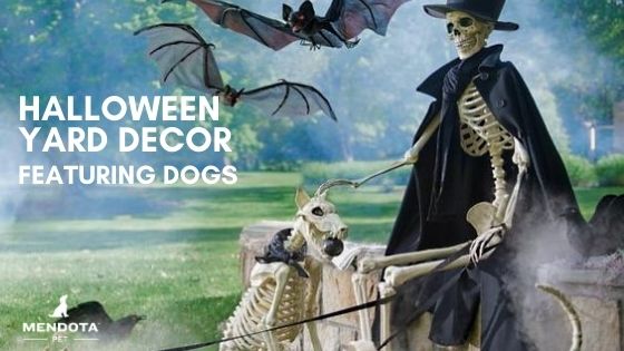 Halloween Yard Decor Featuring Dogs