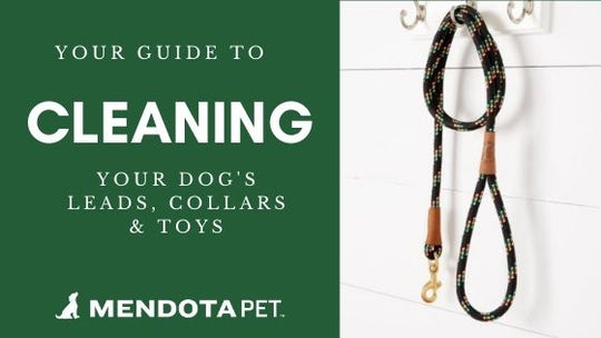Guide to Cleaning Your Mendota Pet Gear