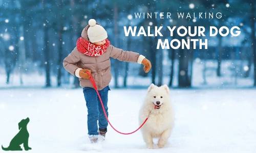 January is Walk Your Dog Month