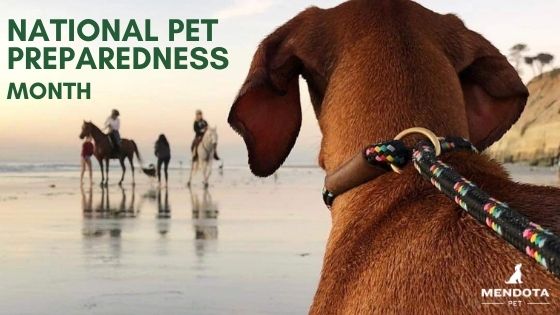 National Pet Preparedness Month