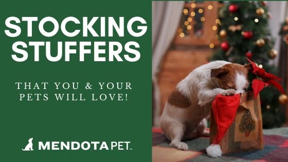 Stocking Stuffers You & Your Dogs Will Love