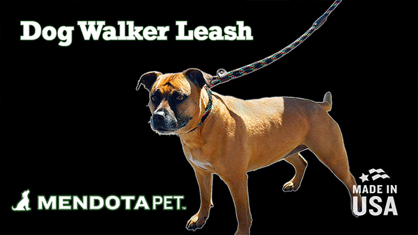 Mendota Dog Walker - Small 3/8 inch