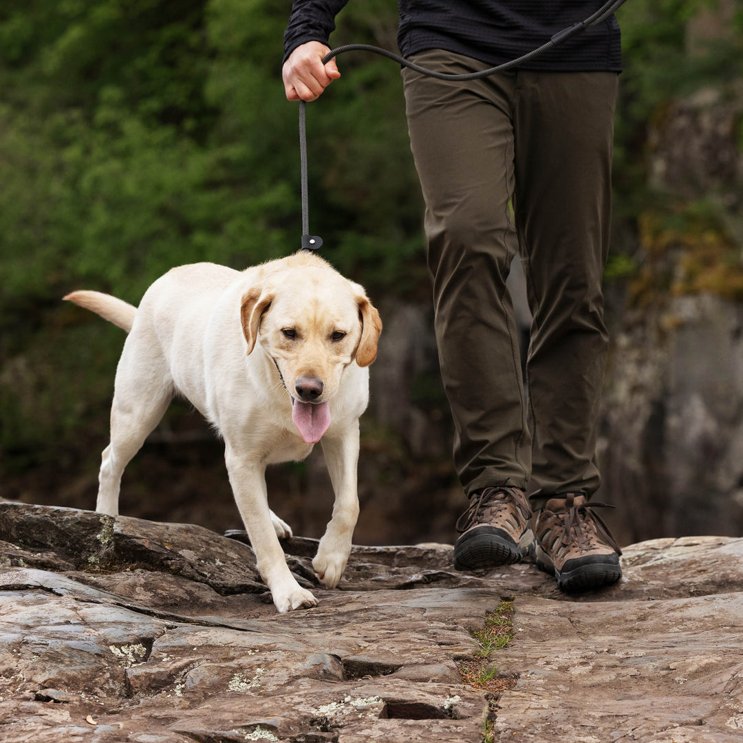 Elite Series Slip Leash - Inspired by Rugged Climbing Rope