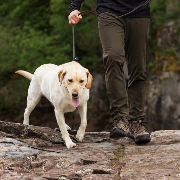 Elite Series Slip Leash - Inspired by Rugged Climbing Rope
