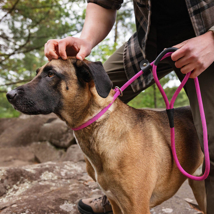 Elite Series Slip Leash - Inspired by Rugged Climbing Rope