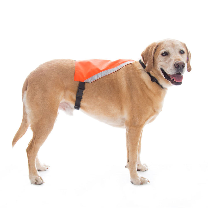 Visi-Vest