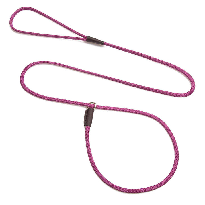 Mendota Show Slip Leash