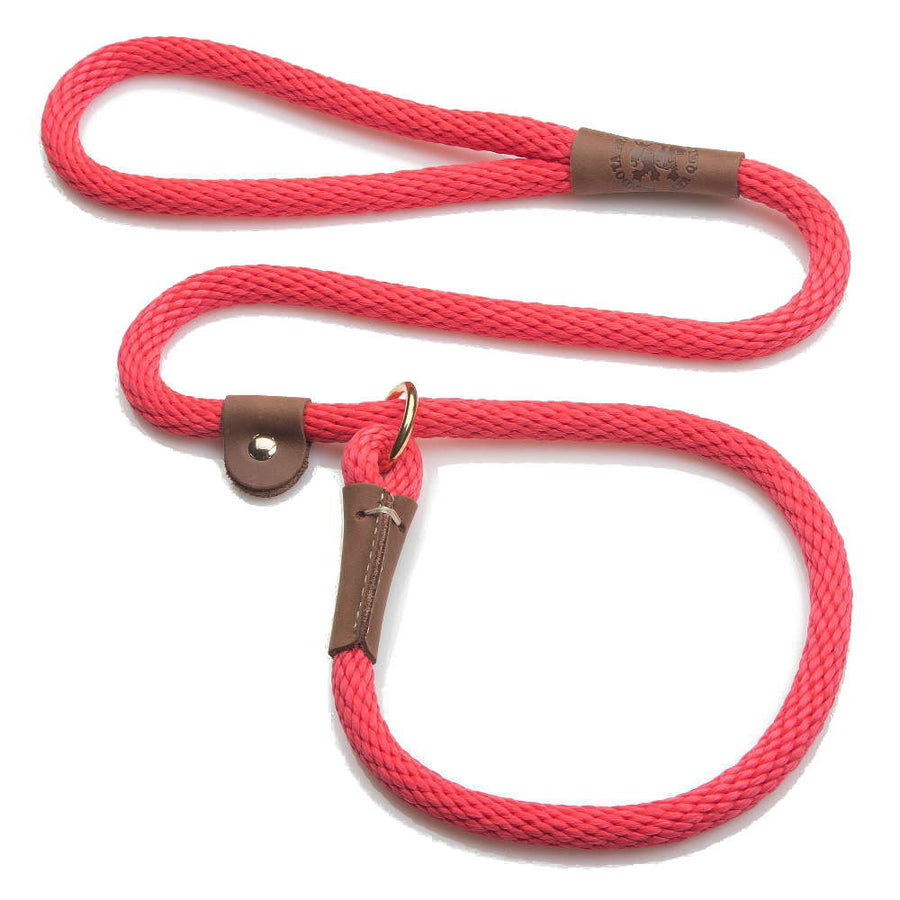 How to Use a Slip Leash Correctly Mendota Pet